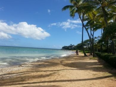 A Diamond of a Rental Villa Kahala Estate